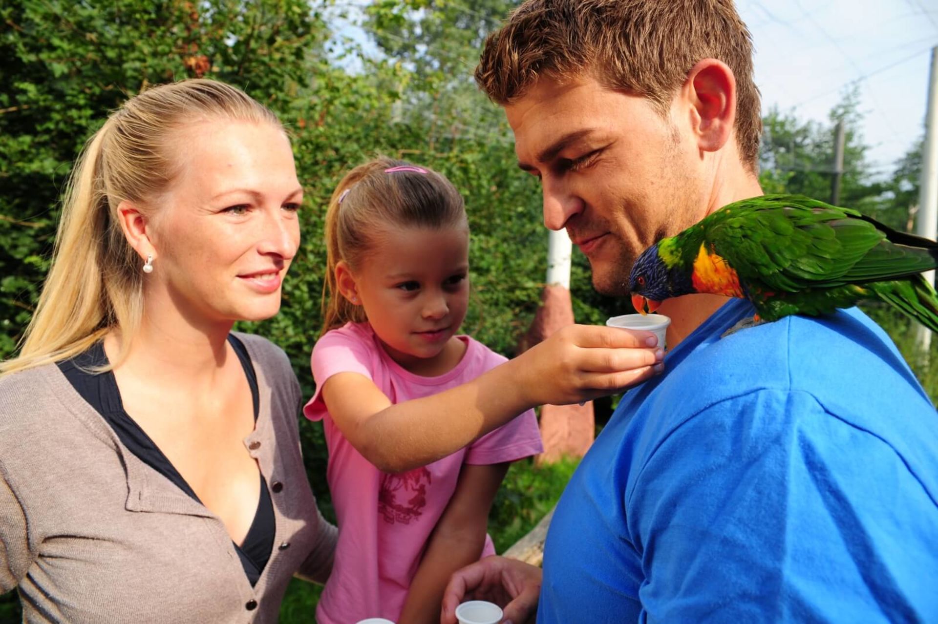 Feed the parrots